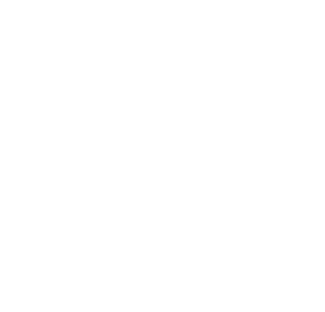 ISO-logo-transparent-white